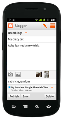 Blogger App
